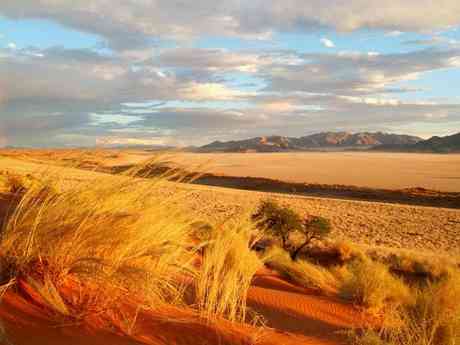 Namibian Treasures Fly-In Safari